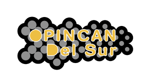 Pincan Del Sur